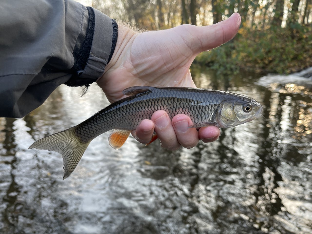 Lit�vka in Lochovice