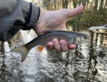 Litávka in Lochovice