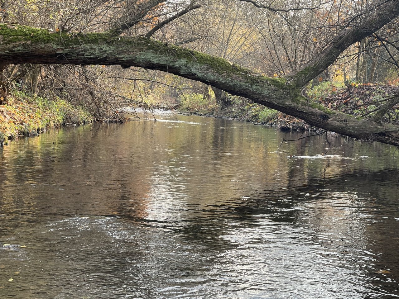 Lit�vka in Lochovice