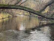 Litávka in Lochovice