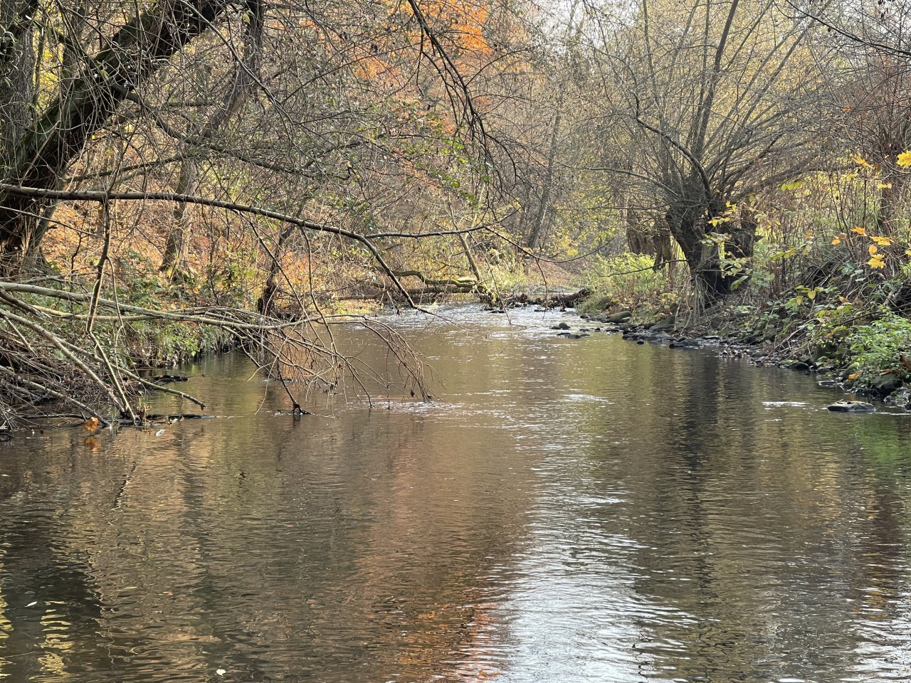 Lit�vka in Lochovice
