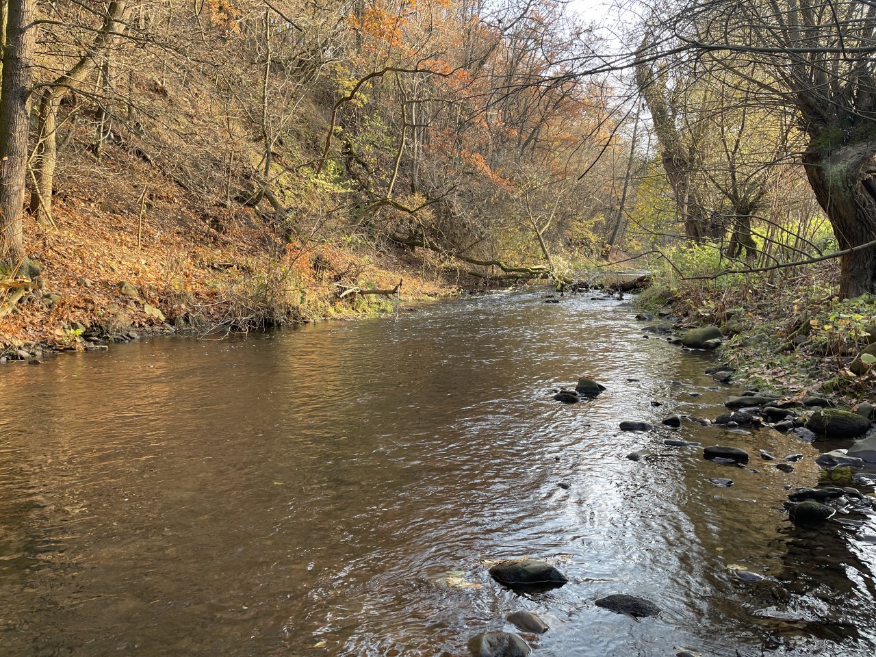 Lit�vka in Lochovice