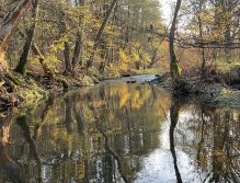 Litávka in Lochovice