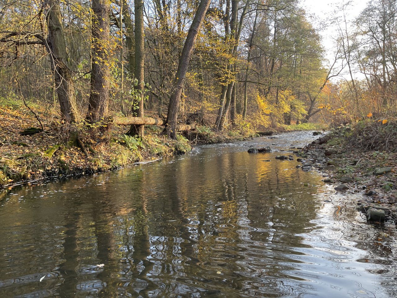 Lit�vka in Lochovice
