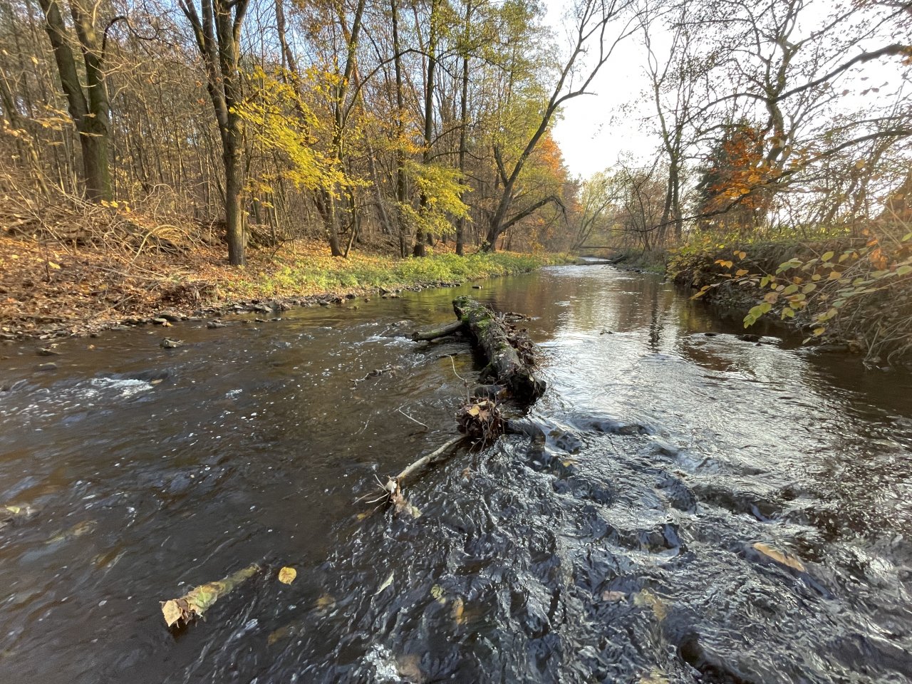 Lit�vka in Lochovice