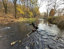 Litávka in Lochovice