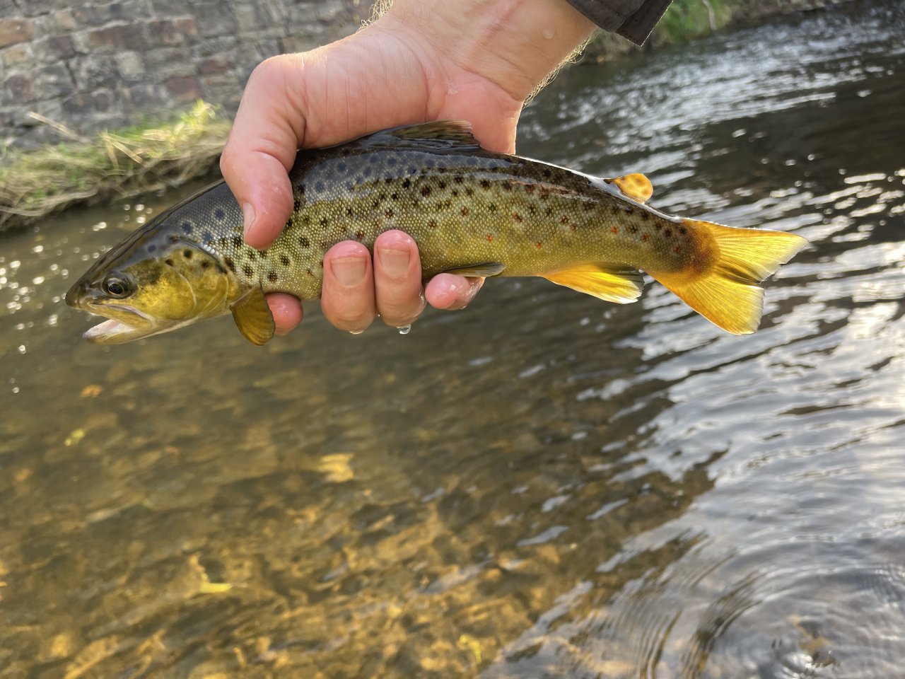 Lit�vka in Lochovice