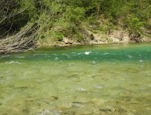 Green water