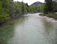 Under the bridge close to Cesta Svobode
