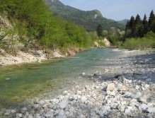 Fast water above Obrne