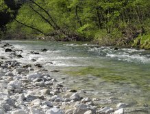 Fast water above Obrne