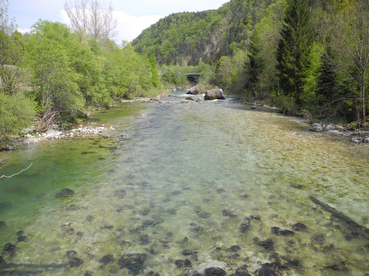Under the bridge at Bohinjska Bela