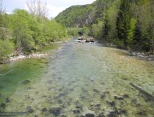 Under the bridge at Bohinjska Bela