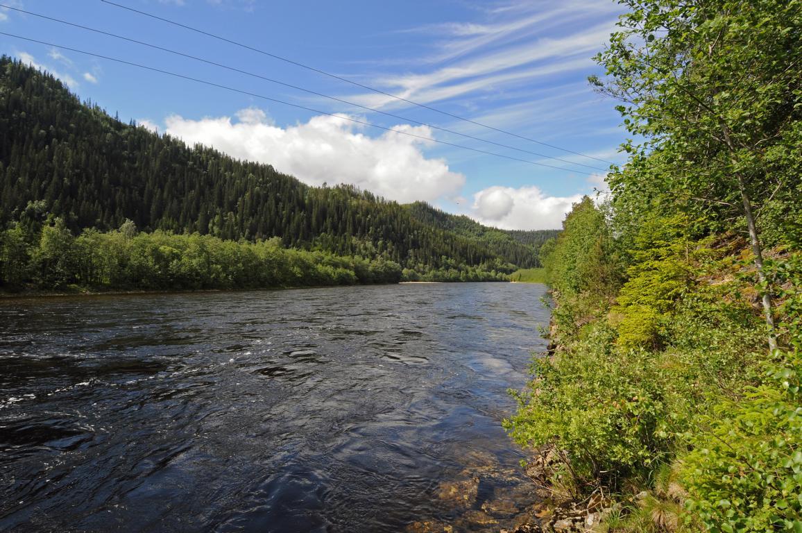 Railywaypool in July in medium waterlevel 