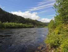 Railywaypool in July in medium waterlevel