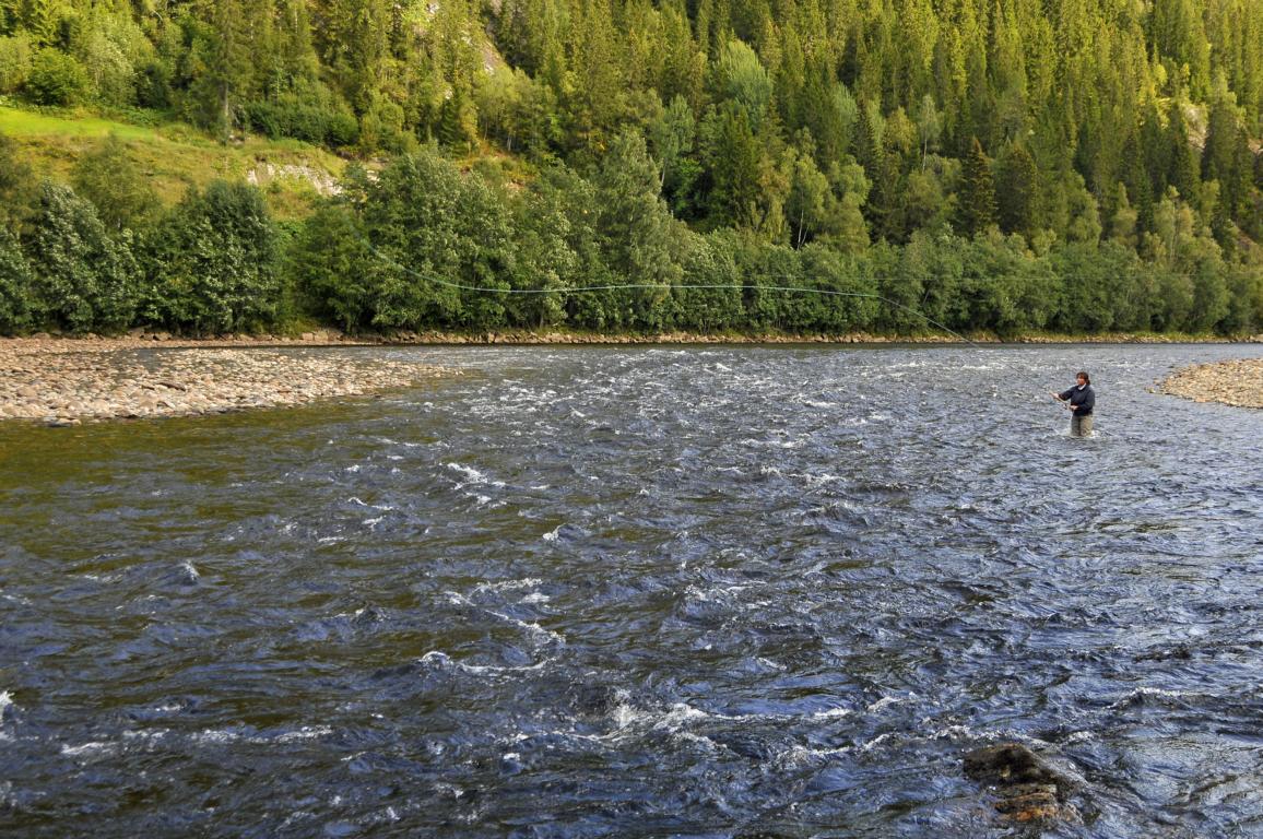 Fisherman(-woman) fishing  close to Kots�y 
