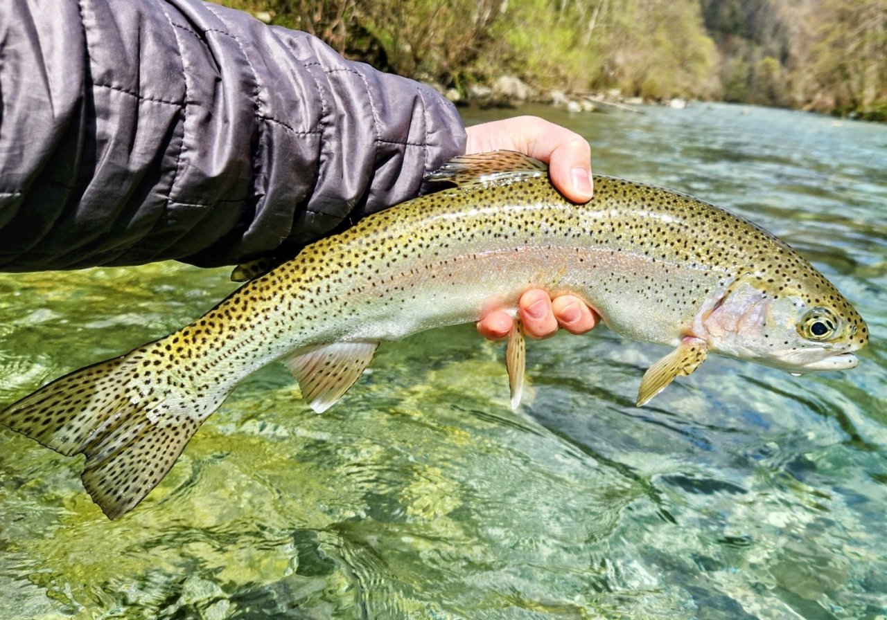 Spring Expedition For The Slovenian Mohicans