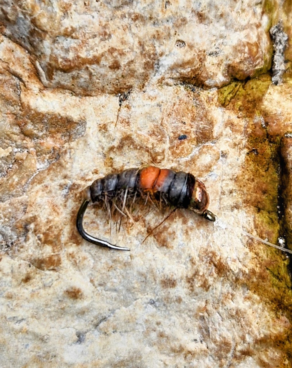 Spring Expedition For The Slovenian Mohicans