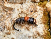 Spring Expedition For The Slovenian Mohicans