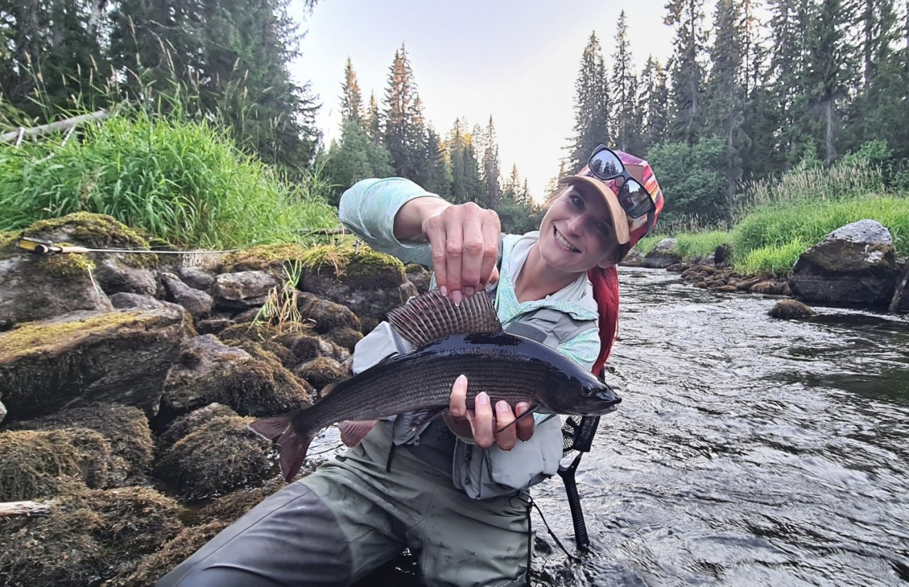 In Sweden With A Fly Rod Three Times In A Row