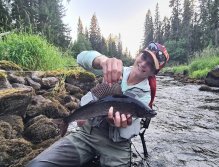 In Sweden With A Fly Rod Three Times In A Row