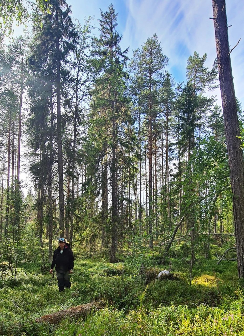 In Sweden With A Fly Rod Three Times In A Row