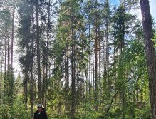 In Sweden With A Fly Rod Three Times In A Row