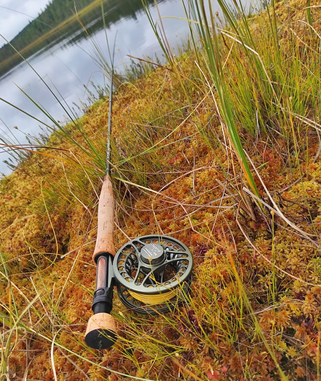 In Sweden With A Fly Rod Three Times In A Row
