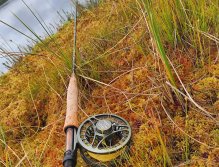 In Sweden With A Fly Rod Three Times In A Row