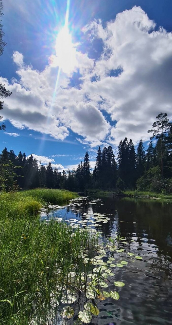 In Sweden With A Fly Rod Three Times In A Row