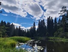 In Sweden With A Fly Rod Three Times In A Row