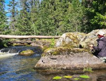 In Sweden With A Fly Rod Three Times In A Row