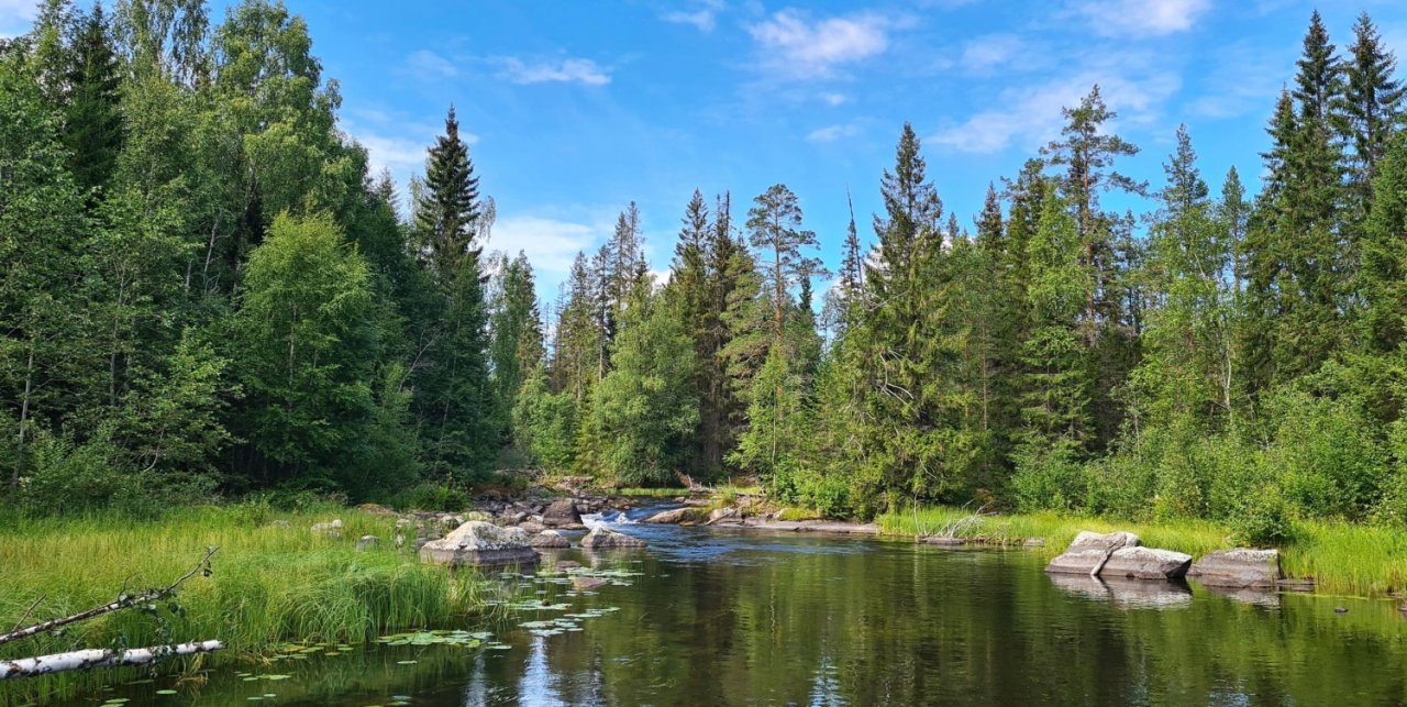 In Sweden With A Fly Rod Three Times In A Row