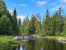 In Sweden With A Fly Rod Three Times In A Row