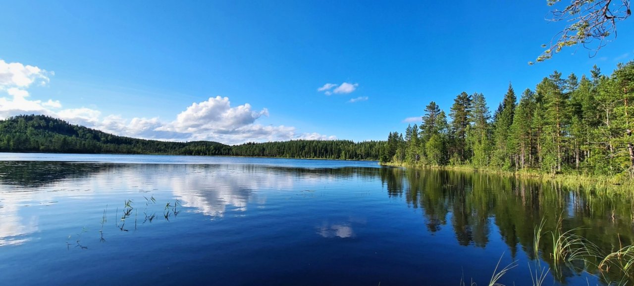 In Sweden With A Fly Rod Three Times In A Row