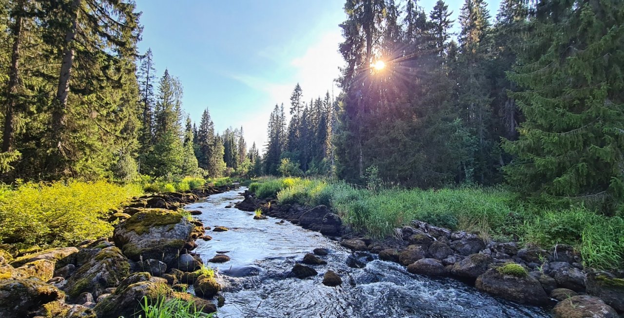 In Sweden With A Fly Rod Three Times In A Row