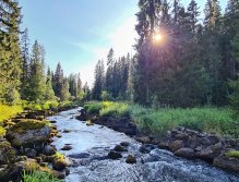 In Sweden With A Fly Rod Three Times In A Row