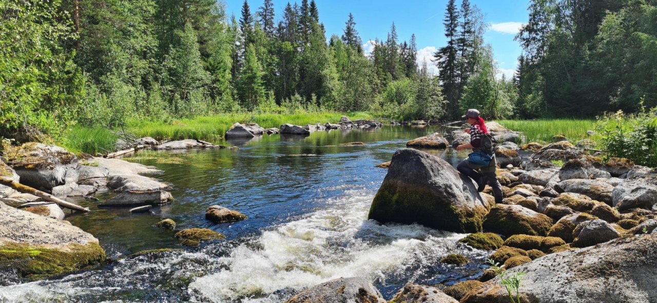 In Sweden With A Fly Rod Three Times In A Row