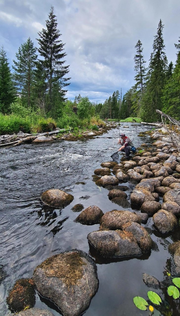 In Sweden With A Fly Rod Three Times In A Row