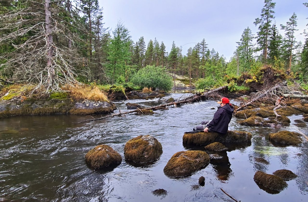 In Sweden With A Fly Rod Three Times In A Row