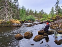 In Sweden With A Fly Rod Three Times In A Row