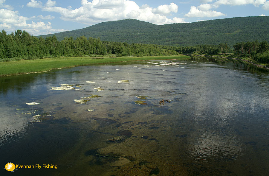 The lower part of the fly fishing zone