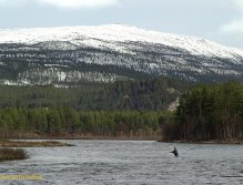 Spring time fishing near the campsite