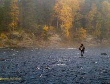 Autumn moods at Glomma