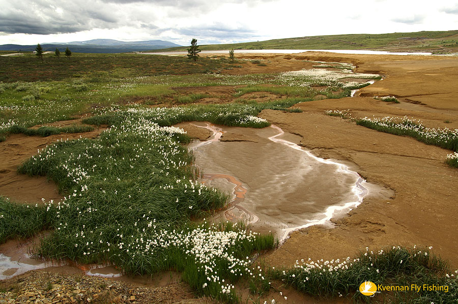 The mountains near Roros