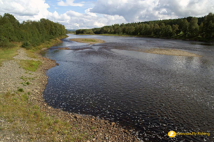 A nice glide in the fly fishing zone
