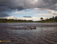 Just after the rain, fly fishing zone