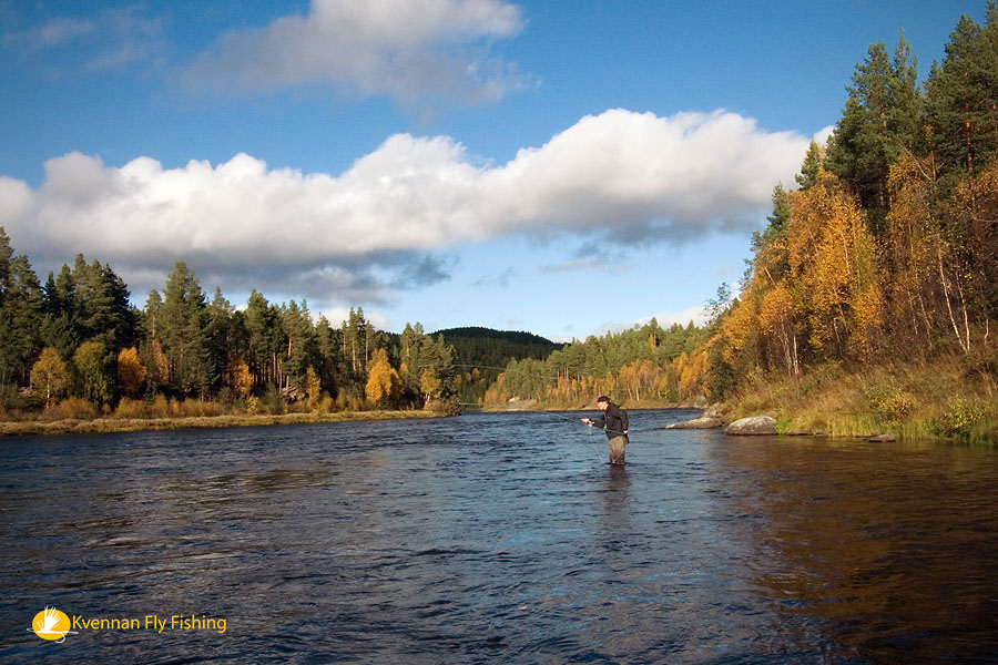 Autumn dry fly fishing for big grayling
