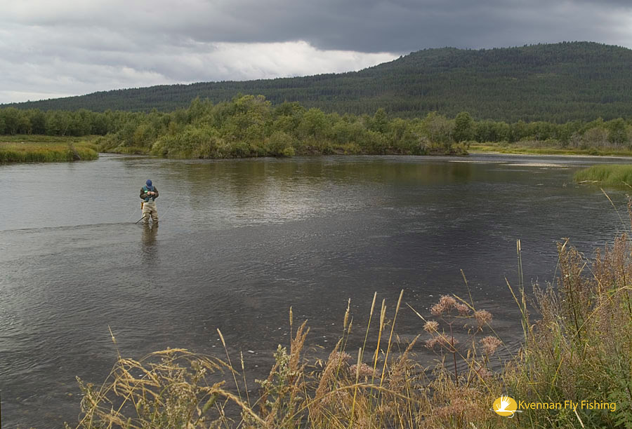Big river, small flies