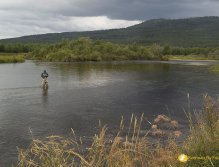Big river, small flies